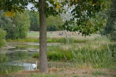 _CISM_Golf_Casi_28.08._19