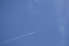 2017-07-13 09.47.17-2