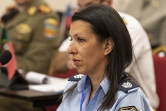 CISM-EC-2019-YEREVAN-218