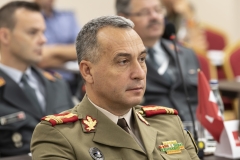 CISM-EC-2019-YEREVAN-237